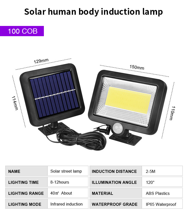 Split solar induction wall light